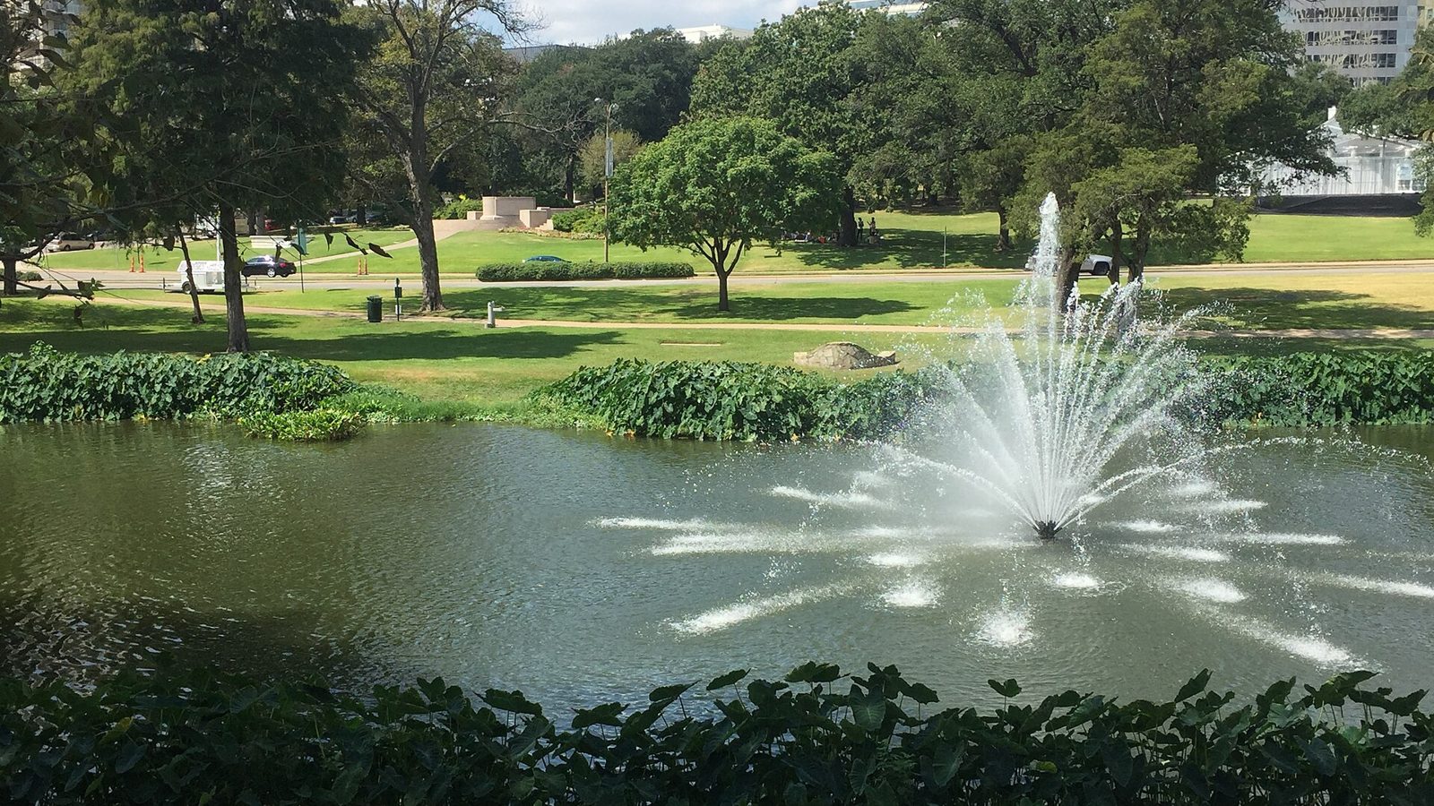 Turtle Creek, Dallas County